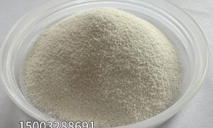 建胜橡塑：粉末丁苯定制工厂用户力荐，实力盘点