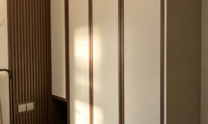 成都大平层业主问：不锈钢衣柜定制找凡立美怎么样？南富森有展厅
