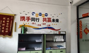 上海春东国际物流：新疆口岸大件运输跨境物流用户力荐