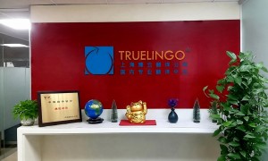 上海毕业证翻译盖章公司实力与用户口碑深度解析，臻云翻译优选