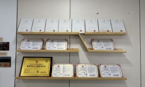 四川鸵企合作对接有哪些 多美生态养殖集团服务商实力参考