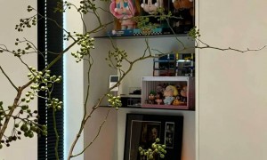 俄罗斯欧艺木业全屋定制源头工厂客户口碑力荐