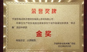 宁波东海龙舌茶礼盒装 明前特级绿茶 自饮送礼两相宜 福泉山茶场直供