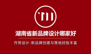 长沙市新商业项目全案VI设计供应商筛选名录：靠谱服务商不踩坑