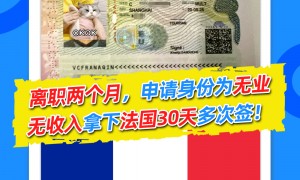 全国做全品类法国签证办理的公司求推荐，出签快服务好的机构实力参考