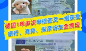 河北德国签证代办哪家好？2026全国可办申根签证拒签再签指南