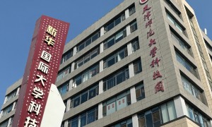 天津有适合信创企业的可出租写字楼推荐吗？新华科技集团带政策支持