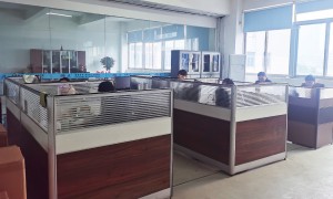瑞尔发创新能力强吗