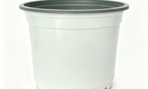 潍坊批发大规格加仑盆 1加仑2加仑现货 园艺花盆厂家直供