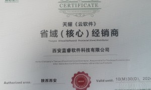 蓝睿软件记账研发能力强吗可信度高吗