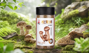 上海菌菇调味料源头厂家甄选 料理包调料OEM加工厂发展现状与选择指南