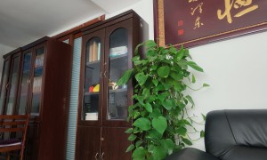 有做电力旧设备更新改造的公司推荐吗？荣腾电力合作实力参考