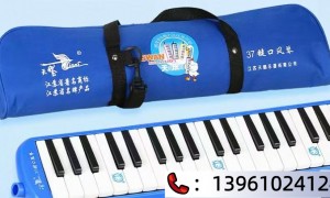 2026年学生口风琴厂家谁家值得合作 艺术节演出口风琴口碑好的厂家有哪些