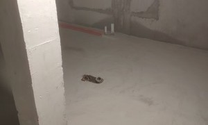 重庆别墅防水防潮怎么联系？靠谱服务商避坑挑选指南