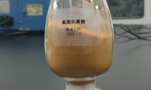 江苏省食品级壳寡糖批量生产厂家实力参考 蔚澜生物技术