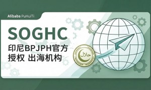 深圳诚信的印尼清真认证公司有哪些 本地靠谱服务商排行榜
