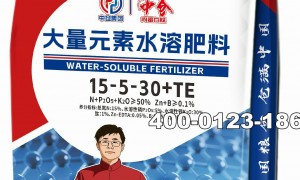 厂家直销 中仓生态抗逆提质肥 番茄专用 含海藻提取物 提升风味与耐储性