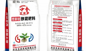 中仓生态农业针对土豆、大姜、草莓等经济作物推出定制底肥与追肥组合方案