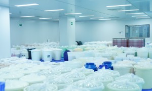 深圳知名的适合外贸的化妆品代工厂有哪些推荐，实力公司推荐