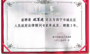 脱军用律师规模怎么样，技术实力如何