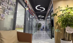 洛阳本地考生家长必看：新雅途留学中考英语冲刺班避坑指南与试听建议