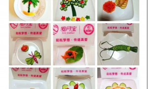 沧州市口碑好的家政服务机构实力测评：团队规模与服务质量分析