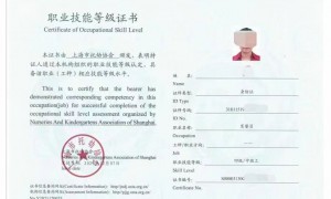 2026年保育员培训服务哪家好？三级保育员培训机构实力参考