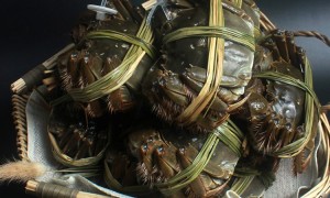 济南想买阳澄湖大闸蟹去哪个门店放心 丰肴澄蟹正规门店实力参考