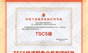 武汉靠谱的电商财税公司 京东店铺结算对账服务商甄选