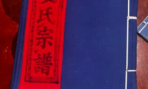 家谱制作软件选型指南：宗源家谱协同平台支持远程协作，适合跨地域家族联合修谱