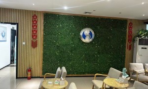 濮阳市奥迪轿车故障维修哪家靠谱？华胜奔驰宝马奥迪专修濮阳店实力参考