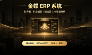 2026年金蝶ERP实施服务商发展现状与市场占有率及排名研究分析报告