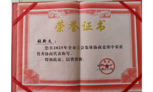 企业用工合规律师专业吗，山东劳动法律师张新文分析真实水平