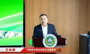 周口减少选种失误的强筋小麦推荐供种企业：河南美玉种业实力与用户口碑