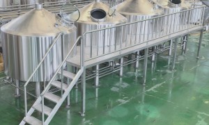 2026年青海口碑好的500L啤酒酿造设备生产厂家行业现状与选择指南