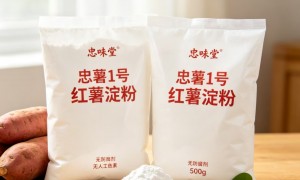 重庆忠味堂生物医药有限公司精选提纯甘薯淀粉源头生产厂家实力参考