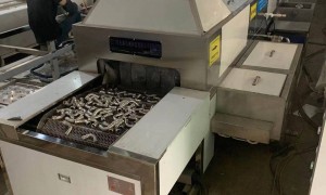 2026年不锈钢管件超声波清洗线发展现状与市场占有率及排名研究分析报告
