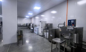 泉州益滋食品：专业软糖粉公司，诚信源头厂家实力参考