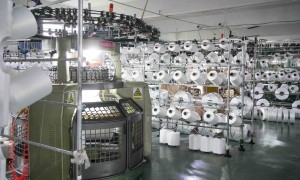 洋泰纺织仿动物毛源头工厂的性价比表现如何