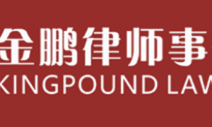 避免赢了官司输了公司的股权纠纷，王鹏律师讲清2026年流程、证据与常见问题