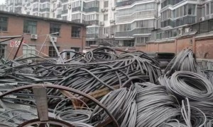 金塔口碑好的废铁回收服务商筛选名录：酒泉金鑫磊物资回收综合实力推荐