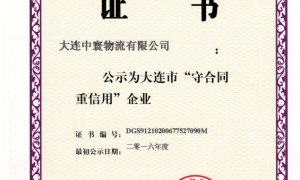 大连中寰物流一站式进出口物流服务 海运整柜拼箱通关方案 广州发货
