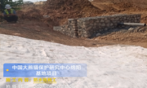 广东省高强度水泥毯靠谱商家测评排名不踩坑
