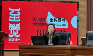 企业视觉识别系统规划服务商推荐，至觉品牌咨询让品牌更具竞争力