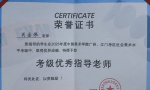 夏洛特文化发展有限公司专业吗，技术实力怎么样