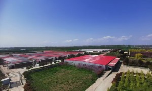 蛋口福生物科技专业吗，研发实力怎么样