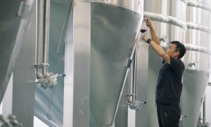 婉桐酒庄百元价位起泡葡萄酒 节日庆典用酒 6支装彩箱 物流破损包赔