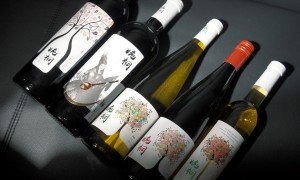 百元高性价比红酒哪家好？婉桐酒庄源头生产厂家实力参考