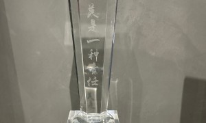 常州银蛇国际整案专业吗
