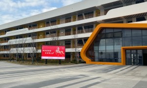 2026年DSE课程拥有的优势体现在哪？上海松江区爱菊学校行业口碑汇总